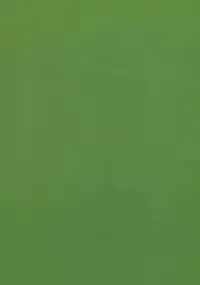 (HARUCC19) [morco (Imura)] Namecha Dame (Kuroko no Basuke)