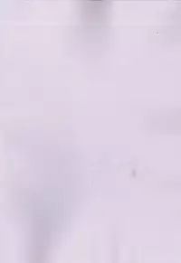 (C93) [Kaniya (Kanyapyi)] Kunkun Peropero Shabaora (Azur Lane)