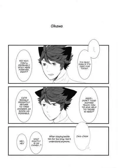 (RTS!!7) [Rototika (Kamishi Yue)] Iwa-chan no Neko ni Naritai | I Want To Be Iwa-Chan’s Cat (Haikyu!!) [English]