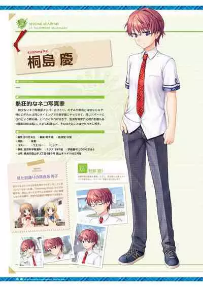 Daitoshokan no Hitsujikai Visual Fan Book Houkago Shippo Days & Dreaming Sheep Visual Fan Book