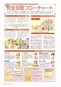 Canvas Visual Fan Book