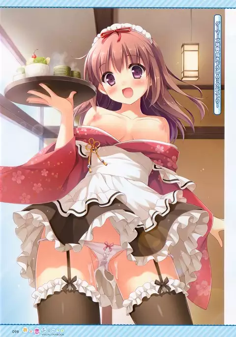 Amakoi Syrups Visual Fan Book