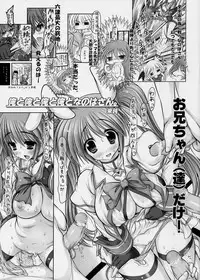 (C73) [STUDIO HUAN (Raidon)] New Nanoha-san. + Shamal-san. (Mahou Shoujo Lyrical Nanoha)