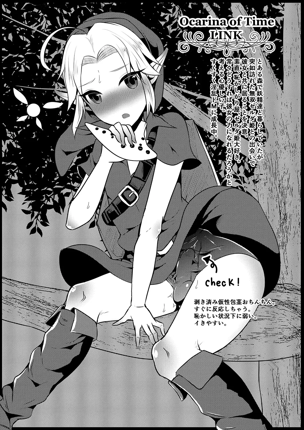 Futanari Zelda Compilation