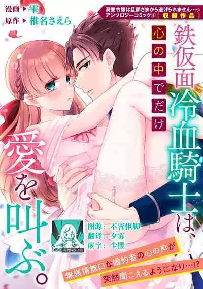 tetsukamen reiketsu kishi wa, kokoro no naka de dake ai o sakebu. | 铁面冷血骑士,只是在心里呼唤爱。