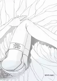 (C63) [Fresnel Lens (Hirano Kana)] Sai (Bishoujo Senshi Sailor Moon, Sentimental Graffiti, Martian Successor Nadesico)