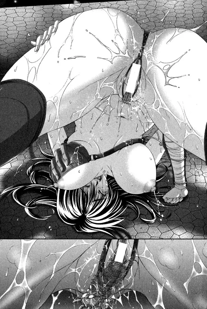 Circus~聖杯の魔法使い