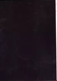 (SUPER25) [BLOW (Umehara Suzuko)] Hana to Hachimitsu Kouhen (Fate/Zero)