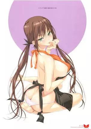 八宝備仁画集 紅蝶(ほてり)