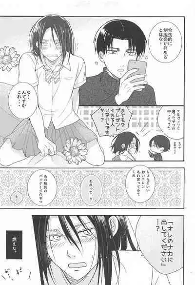 Seinaru Yoru to Omocha Asobi