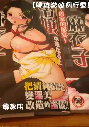 Reijou Maiko ~Kyuuke no Hien~