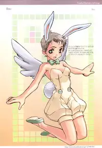 (一般画集) [オーバーフロー] ピュアメール オフィシャルアートワークス