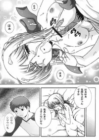 (C66) [Studio Wallaby (Takana Yu-ki)] Secret file next 10 - I feel my Fate (Fate/stay night)