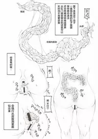 (C92) [Abarenbow Tengu (Izumi Yuujiro)] Japunika Inchuuchou (Fate/stay night) [Chinese] [屏幕脏了汉化]