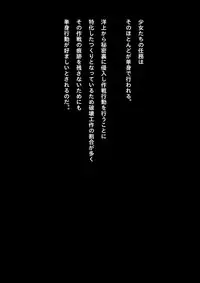 [NATURALDAYS] Kyouei Mizugi Shoujo Ninja Haiboku Hakai Soushuuhen