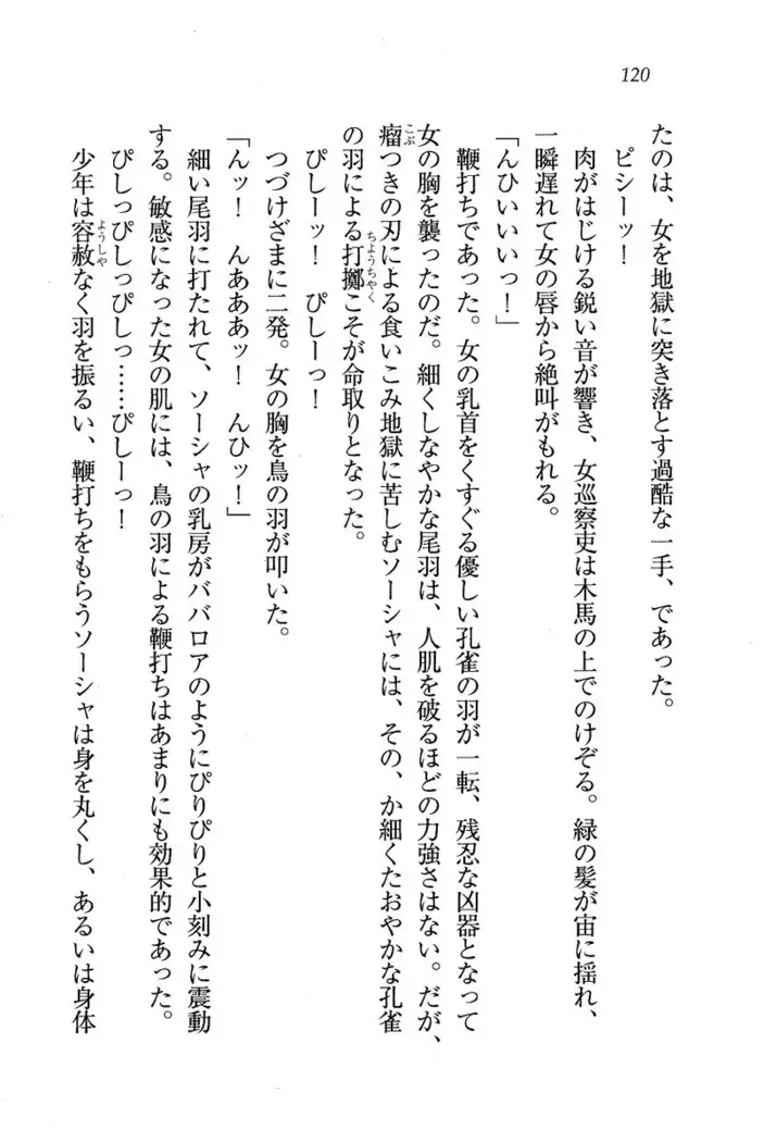 Circus~聖杯の魔法使い