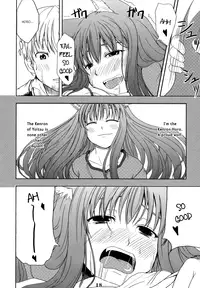(Mimiket 16) [Neko no Paraiso (Neko no Te)] Ookami no Enbukyoku | Waltz of the Wolf (Spice and Wolf) [English] [Tail Feel so Good]