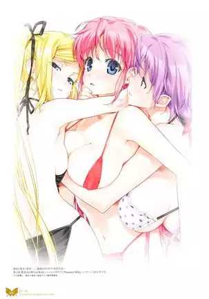 八宝備仁画集 紅蝶(ほてり)