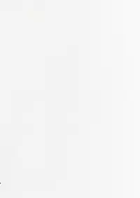 [Aimaitei (Aimaitei Umami)] Futanari Osananajimi to Ore to Hajimete no Gyaku Anal Kagai Jugyou | Me and My Futanari Childhood Friend's First Extracurricular Lesson in Reverse Anal [English] [JasmineTea] [Digital]