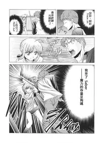 (C68) [Jishou Seijunha (Hiroyuki)] Platonic Magician H2 (Fate/stay night) [Chinese] [無節操軍漢化]