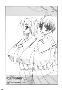 (COMIC1☆01) [HGH (HG Chagawa)] Idea NOTE #10 Fallin' Angel (Code Geass: Lelouch of the Rebellion)