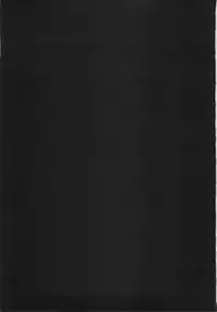 (C77) [NIKKA (Mario Kaneda)] Princess code 04 (Seiken Densetsu 3)