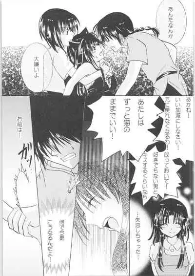 [RxA Supremacist (Yagami Raimu, Morisaki Yoshino, Kisaragi Mizuka)] Iinazuke ga Neko ni Narimashite. (Ranma 1/2)