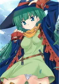 (COMIC1☆6) [Tokage no Shippo (Gekato)] -NARROW INTERESTS- (Rance)