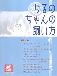 (C79) [Okota to Mikan, Arysuivery, Chiyohan (pun2, Ayakase Riberi, Chiyoko)] Cirno-chan no Kaikata (Touhou Project)