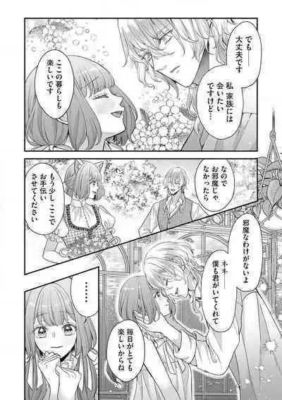 Nene to Ikoku no Mahoutsukai Isekai ni Shoukan Sareta to Omottara, Naze ka Koneko to shite Aigan Saretemasu 1-5