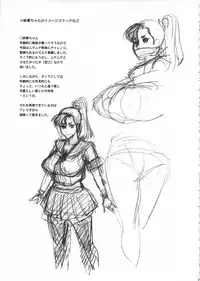 (C92) [Niku Ringo (Kakugari Kyoudai)] Nippon Mesu Kunoichi