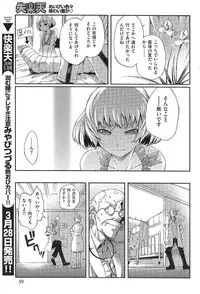 COMIC Shitsurakuten 2009-04 (Incomplete)