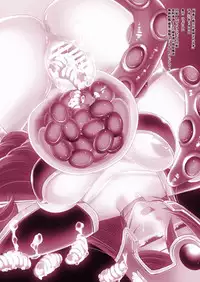 [Suger Honey (Sugar Milk, Mizuki Honey)] Kenja to Senshi ga Sanran Sarechau Hon (Dragon Quest III) [Digital]