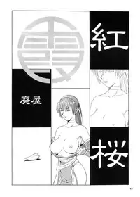 (CR28) [MANGANA (Doluta, Nishimo)] Nyan Nyan KUNOICHI (Dead or Alive, King of Fighters)