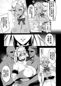 (C91) [H.B.A (Usagi Nagomu)] Reizoku Elf Maid + C91 Kaijou Genteibon [Chinese] [无毒汉化组]