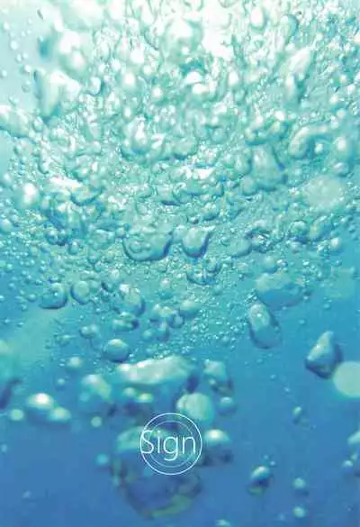 hasetsunotakata (yuri!!! on ICE）