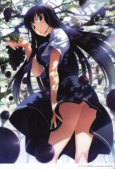 Game Artbook - グリザイアの果実 ビジュアルファンブック