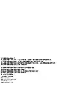 (C88) [Janis Toilet (Suisen Toilet)] Zenritsusen Kaihatsu-gata Koukuu Bokan (Kantai Collection -KanColle-) [Chinese] [无毒汉化组]