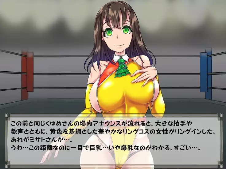 ドMプロレス2 画像集