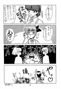 (C56) [Studio Wallaby] Secret File 002 Kasumi & Lei-Fang (Dead or Alive)