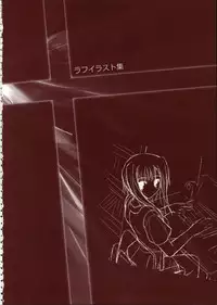 Primitive Link Visual Fanbook