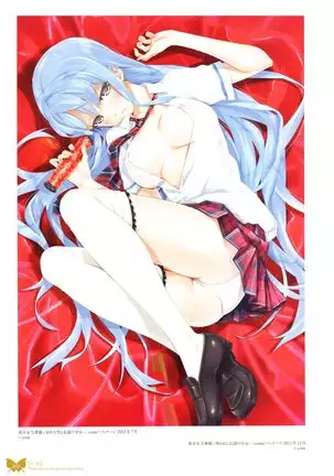 八宝備仁画集 紅蝶(ほてり)