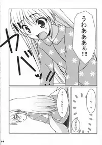 (C73) [Newton no Ringo / N's Apple (Inuzumi Masaki)] Fuyu Hina. (Hayate no Gotoku!)