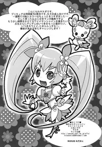 (C79) [Mike ni mage (Yasuda)] Munekyun Sunshine (HeartCatch PreCure!)