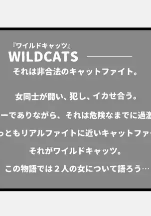 WILDCATS ~ふたなり地下バトル