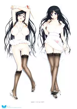 八宝備仁画集 紅蝶(ほてり)