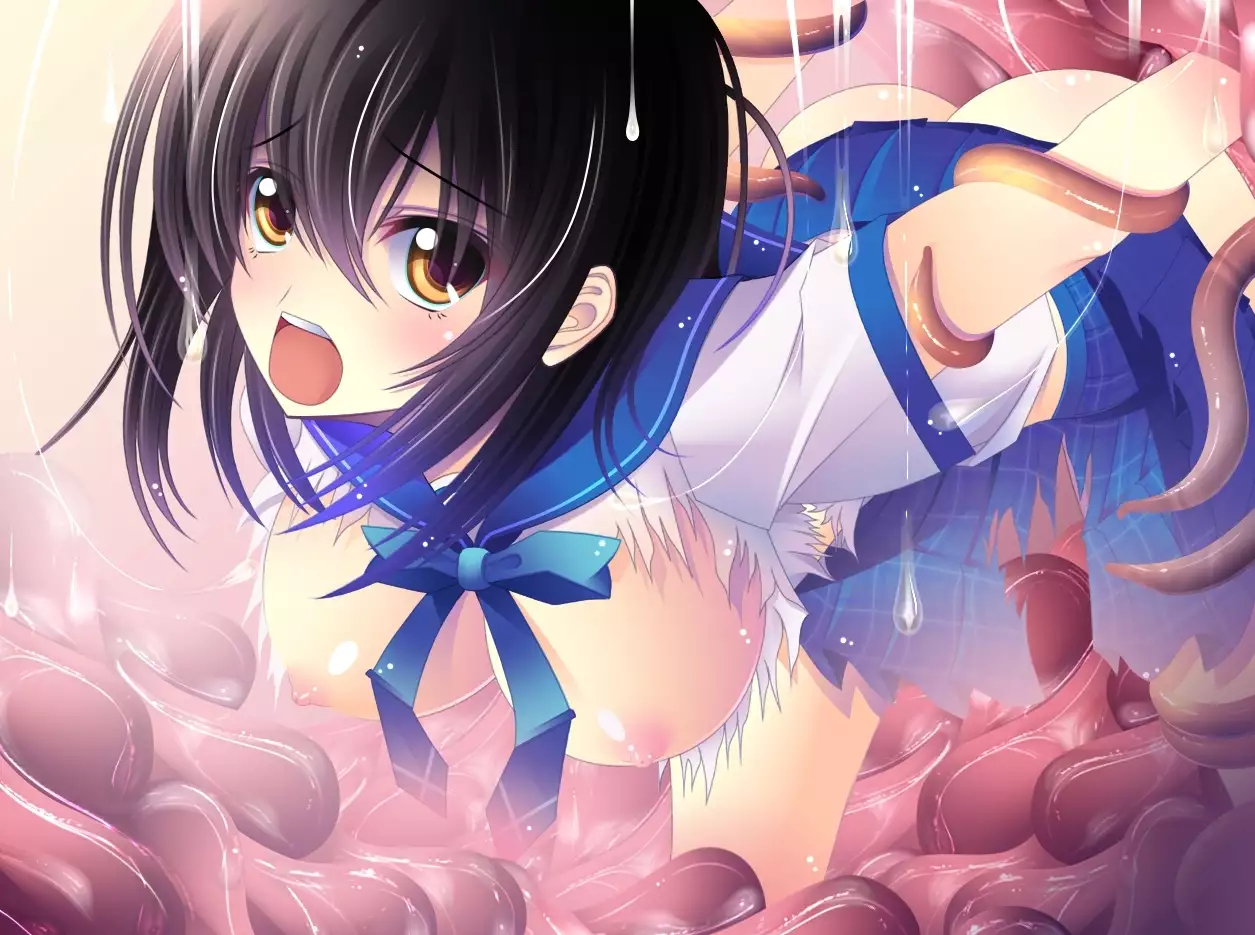 yabure, bakunyu chochichi naedoko ni, benki ni Daraku To sa reru hiroin!~ Hime ￮ setsuna ~