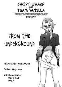 (C83) [Tricot (Stella.Ing)] From The Underground (The Legend Of Zelda) [English] =SW=