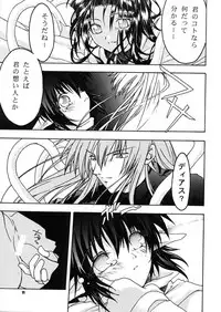 [C's cheese (Kyuuto)] Rena No Mitsu (Star Ocean: The Second Story)