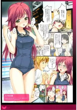 八宝備仁画集 紅蝶(ほてり)